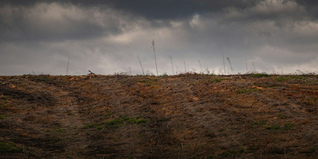Hill-View Land